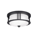 Generation Lighting GL784790212 Black Outdoor Ceiling Mounted Light