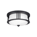 Generation Lighting GL7847902EN312 Black Outdoor Ceiling Mounted Light