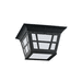 Generation Lighting GL7913112 Black Outdoor Ceiling Mounted Light