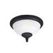 Generation Lighting GL88048EN3185 Forged Iron Outdoor Ceiling Mounted Light