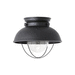 Generation Lighting GL886993S12 Black Outdoor Ceiling Mounted Light