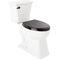 Two Piece Toilet