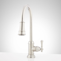 Pull-Out Spray Kitchen Faucet
