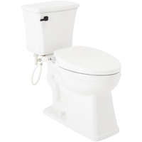 Two Piece Toilet