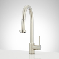 Pull-Out Spray Kitchen Faucet