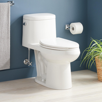 One Piece Toilet Elongated bowl