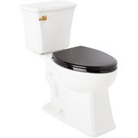 Two Piece Toilet