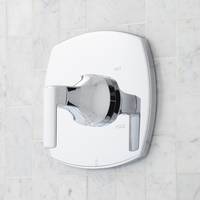 Shower Faucet Trim Kit