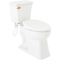 Two Piece Toilet