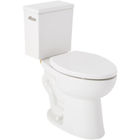 Two Piece Toilet