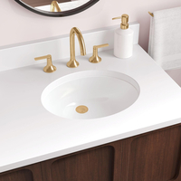 Undermount Bathroom Sink 17 x 13-3/4 x 7-1/2
