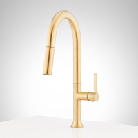 Pull-Out Spray Kitchen Faucet Single Handle Pull DOwn Spray