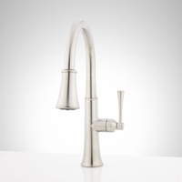 Pull-Out Spray Kitchen Faucet
