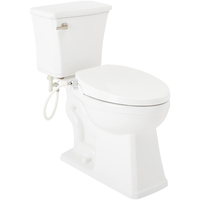 Two Piece Toilet