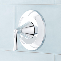 Custome Shower Non-Thermostatic Valve