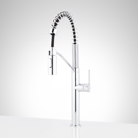 Pull-Out Spray Kitchen Faucet
