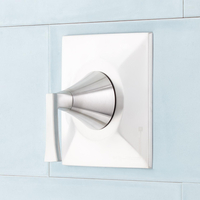 Custome Shower Non-Thermostatic Valve