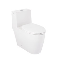 One Piece Toilet Elongated bowl|Compact Elongated
