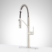 Pull-Out Spray Kitchen Faucet