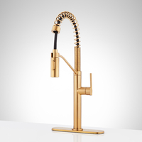 Pull-Out Spray Kitchen Faucet