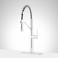 Pull-Out Spray Kitchen Faucet