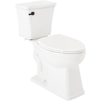 Two Piece Toilet