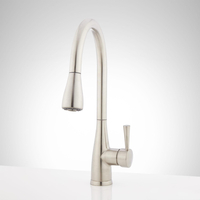 Pull-Out Spray Kitchen Faucet