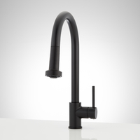 Pull-Out Spray Kitchen Faucet
