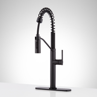 Pull-Out Spray Kitchen Faucet
