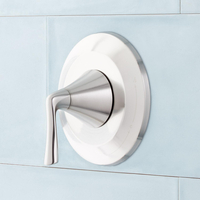 Custome Shower Non-Thermostatic Valve