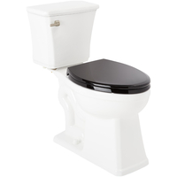 Two Piece Toilet