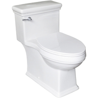 One Piece Toilet Elongated bowl