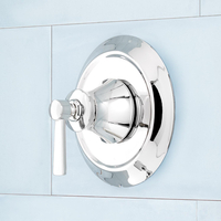 Custome Shower Non-Thermostatic Valve