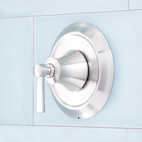 Custome Shower Non-Thermostatic Valve