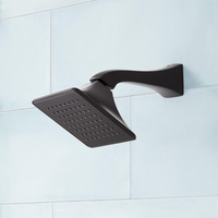  Vilamonte Shower Head Shower Accessory - Matte Black