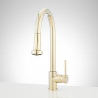 Pull-Out Spray Kitchen Faucet