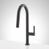 Pull-Out Spray Kitchen Faucet Single Handle Pull DOwn Spray
