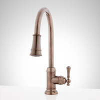 Pull-Out Spray Kitchen Faucet