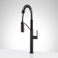 Pull-Out Spray Kitchen Faucet