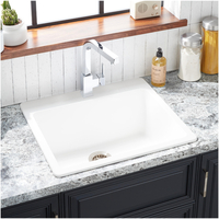 Single Bowl Sinks 25 x 22 x 9-1/2