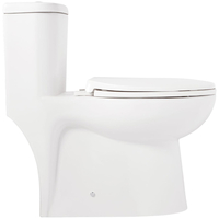 One Piece Toilet Elongated bowl