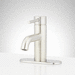 Signature Hardware SIG483800 Brushed Nickel Single Hole Bathroom Sink Faucet