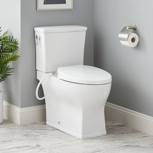 SIG481682 Carraway Two Piece Toilet - White