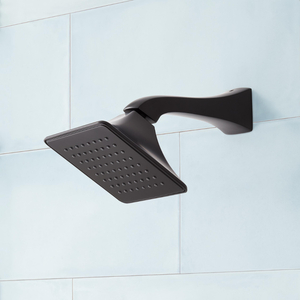 SIG483687 Vilamonte Shower Head Shower Accessory - Matte Black