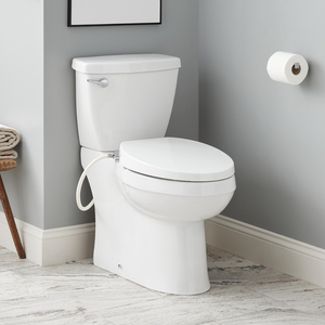 SIG481680 Bradenton Two Piece Toilet - White