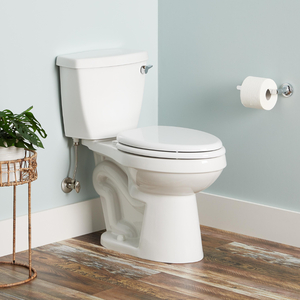 SIG447372 Bradenton Two Piece Toilet - White