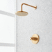 Signature Hardware SIG484034 Brushed Gold Shower System