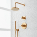 Signature Hardware SIG484046 Brushed Gold Shower System