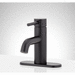 Signature Hardware SIG483803 Matte Black Single Hole Bathroom Sink Faucet