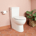 Signature Hardware SIG559448 White Two Piece Toilet